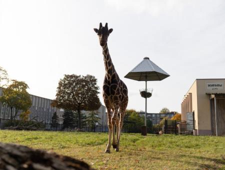 Партнер проекта — Калининградский зоопарк!